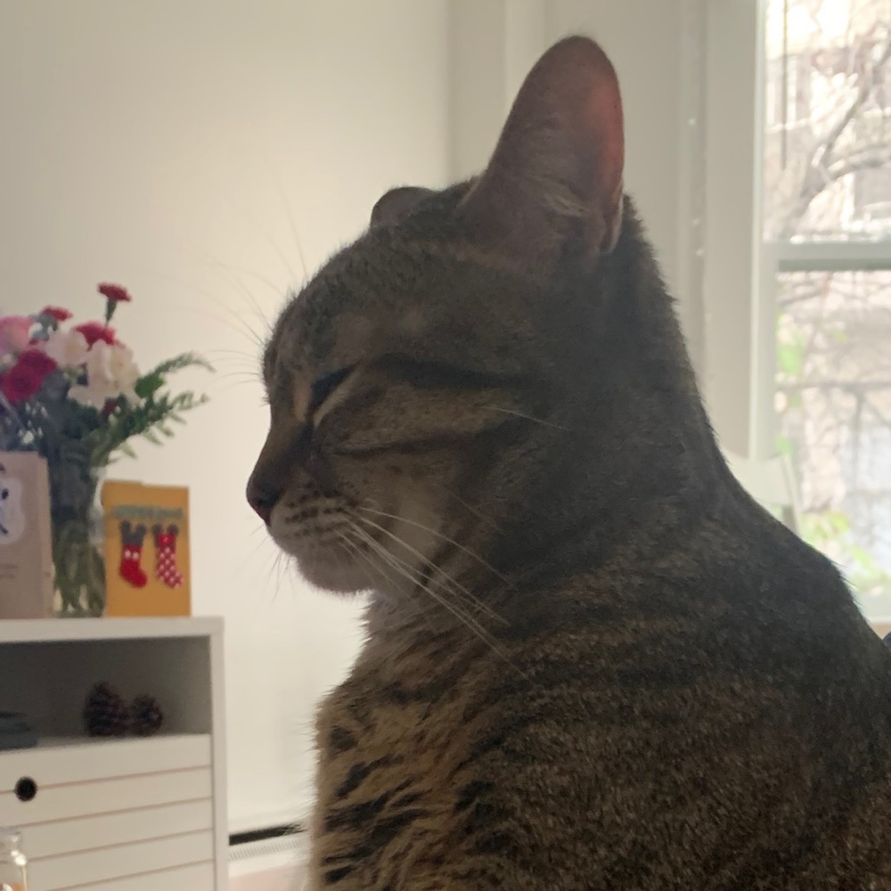 Meet your Posher, Marcelo